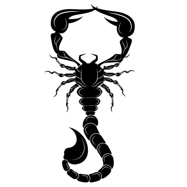 Silhouette of a scorpion