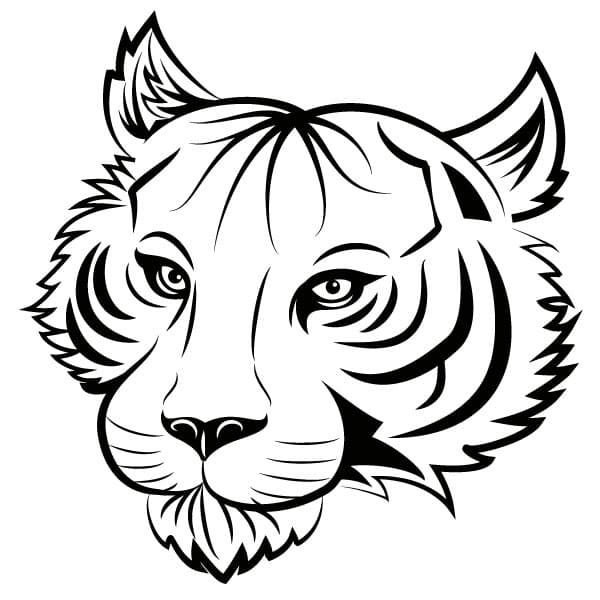 Tiger's head