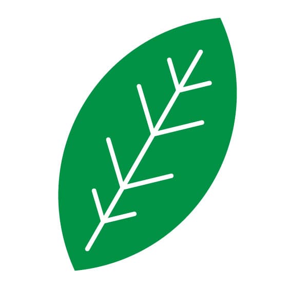 Green leaf icon