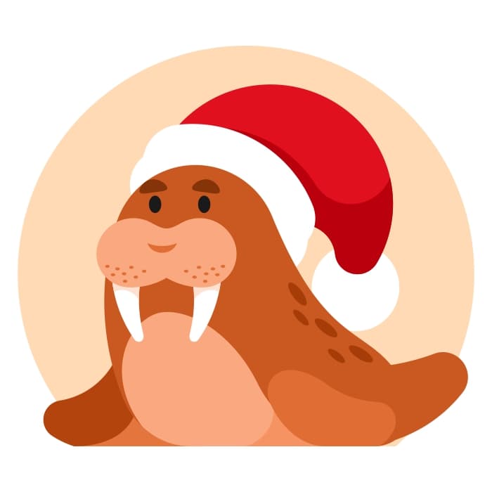 Walrus with Santa Claus hat