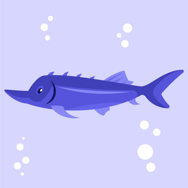 Peixe esturjão