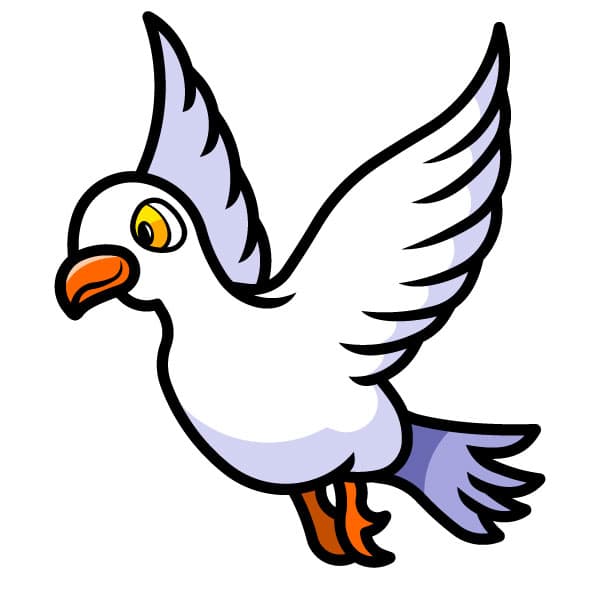 White dove