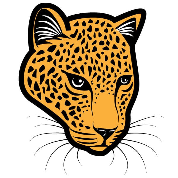 Head of a jaguar