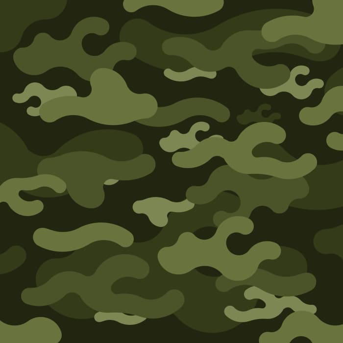 Padrão de camuflagem