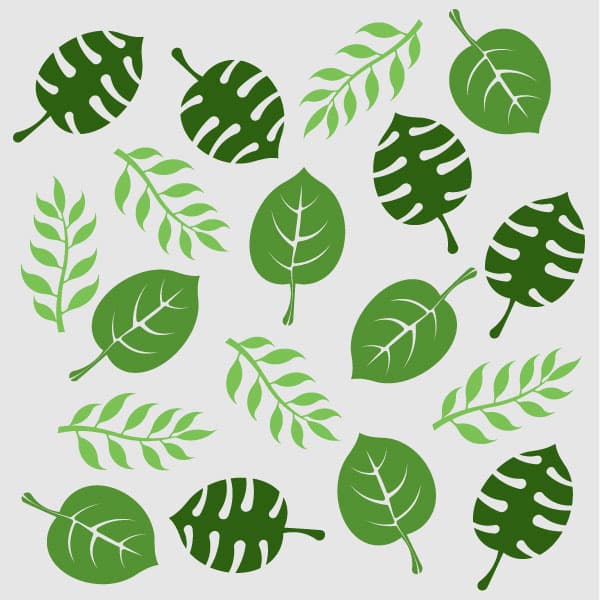 Exotic leaves pattern
