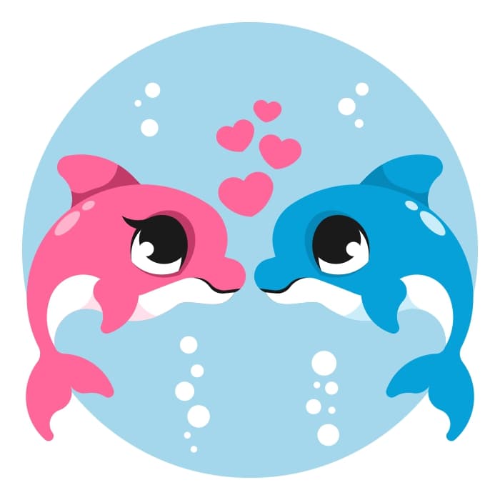 Dolphins in love