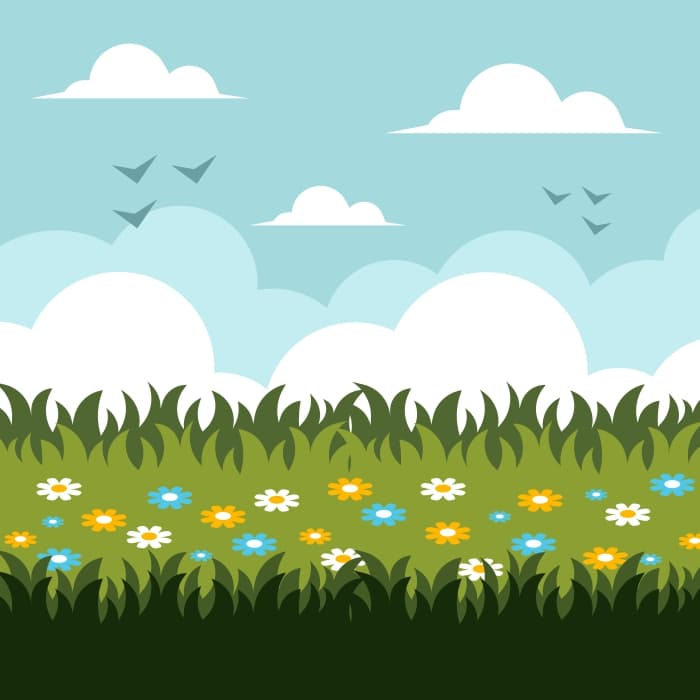 Summer lawn