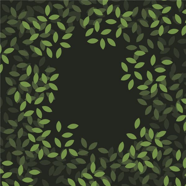 Leaf pattern