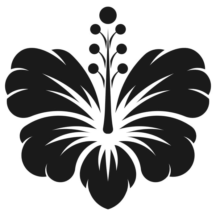 Silhouette del fiore di ibisco